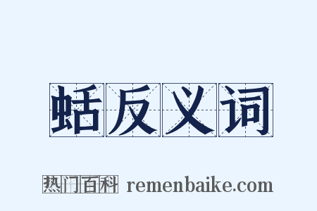 蛞反义词是什么意思的图片